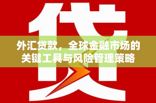 雁江外汇贷款，全球金融市场的关键工具与风险管理策略