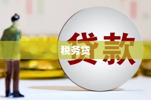 雁江税务贷