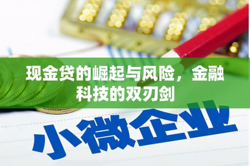 雁江现金贷的崛起与风险，金融科技的双刃剑