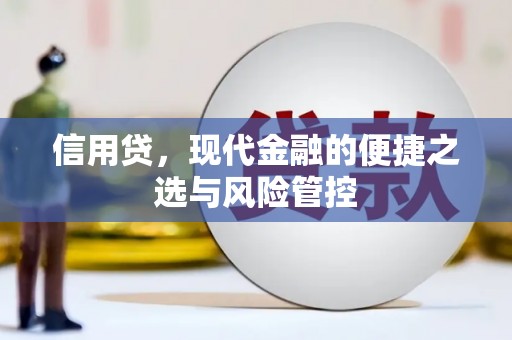 雁江信用贷，现代金融的便捷之选与风险管控