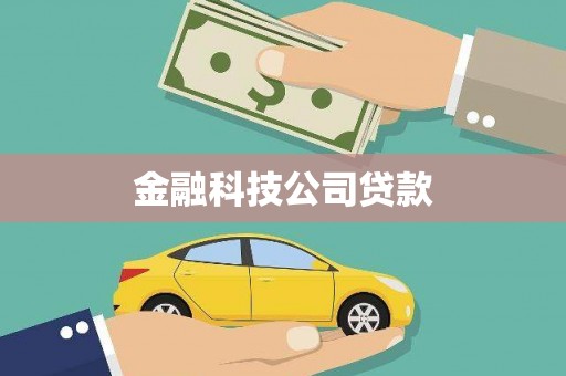 雁江金融科技公司贷款