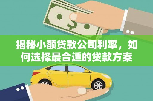 雁江揭秘小额贷款公司利率，如何选择最合适的贷款方案