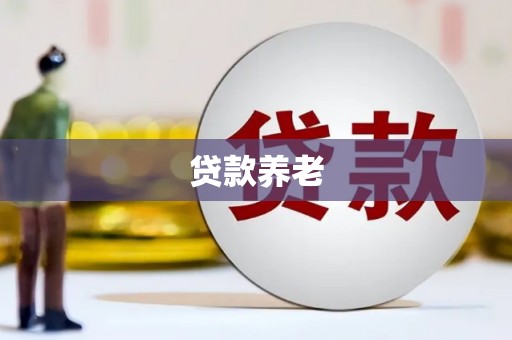 雁江贷款养老