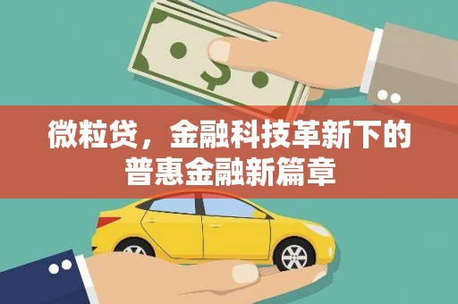雁江微粒贷，金融科技革新下的普惠金融新篇章