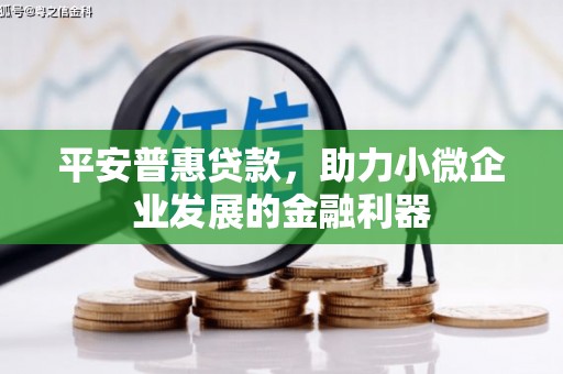 雁江平安普惠贷款，助力小微企业发展的金融利器