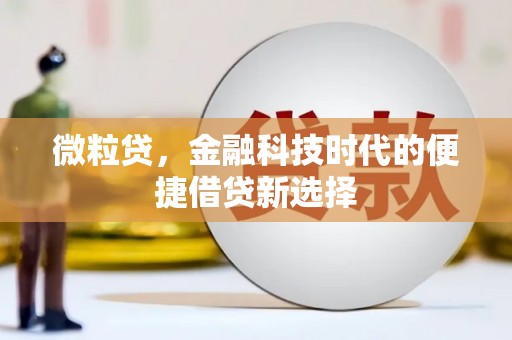 雁江微粒贷，金融科技时代的便捷借贷新选择