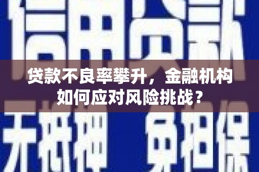 雁江贷款不良率攀升，金融机构如何应对风险挑战？