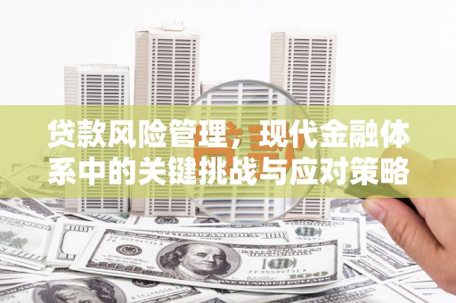 雁江贷款风险管理，现代金融体系中的关键挑战与应对策略