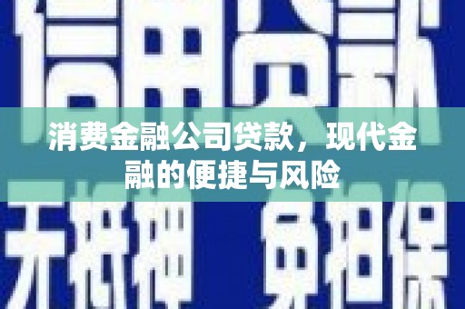 雁江消费金融公司贷款，现代金融的便捷与风险