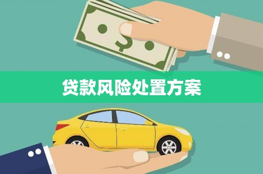 雁江贷款风险处置方案