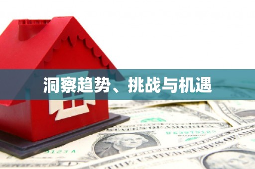 雁江洞察趋势、挑战与机遇