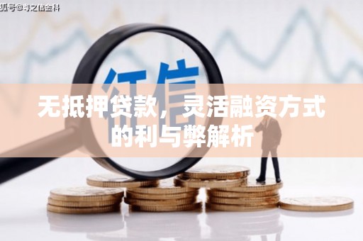 雁江无抵押贷款，灵活融资方式的利与弊解析