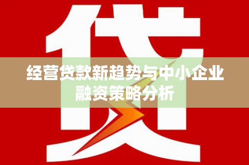 雁江经营贷款新趋势与中小企业融资策略分析