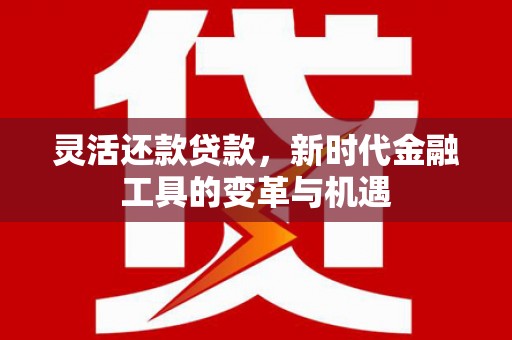 雁江灵活还款贷款，新时代金融工具的变革与机遇