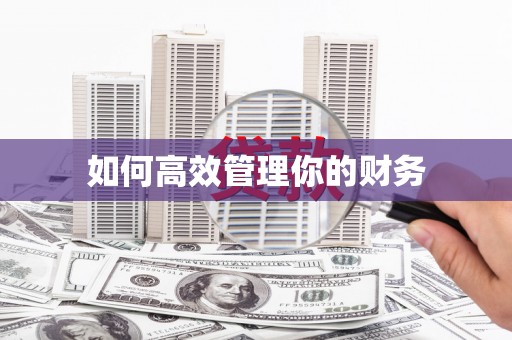 雁江如何高效管理你的财务