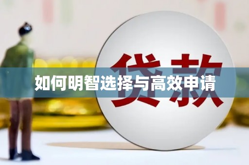 雁江如何明智选择与高效申请