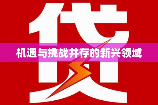 雁江机遇与挑战并存的新兴领域