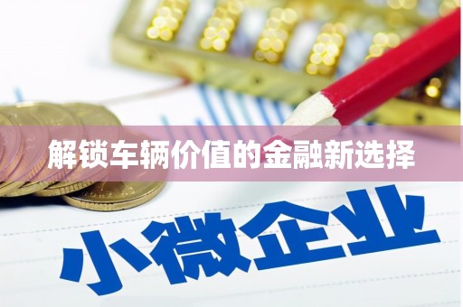 雁江解锁车辆价值的金融新选择