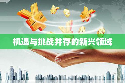 雁江机遇与挑战并存的新兴领域