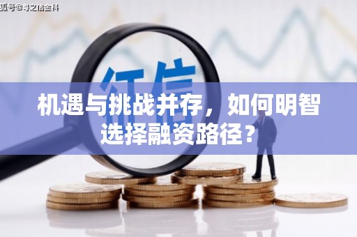 雁江机遇与挑战并存，如何明智选择融资路径？