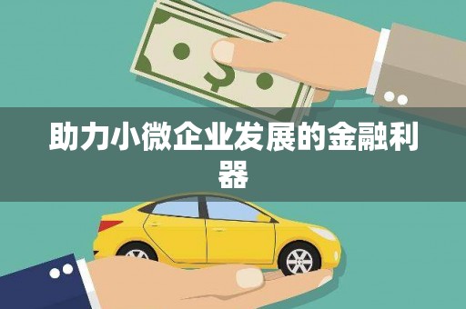 雁江助力小微企业发展的金融利器