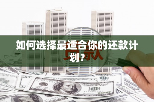 雁江如何选择最适合你的还款计划？