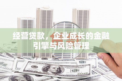 雁江经营贷款，企业成长的金融引擎与风险管理