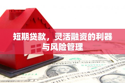 雁江短期贷款，灵活融资的利器与风险管理