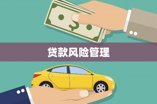雁江贷款风险管理