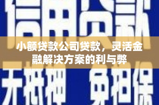 雁江小额贷款公司贷款，灵活金融解决方案的利与弊