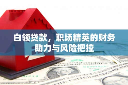 雁江白领贷款，职场精英的财务助力与风险把控