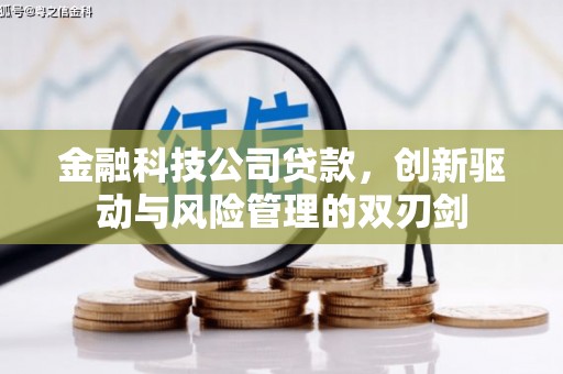 雁江金融科技公司贷款，创新驱动与风险管理的双刃剑