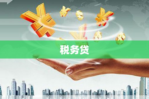 雁江税务贷